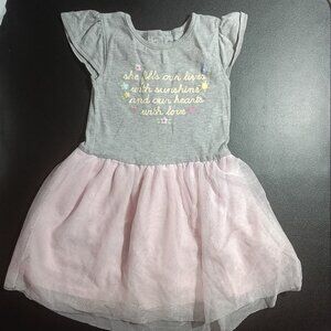 Gerber Dress 24M Pink and Gray